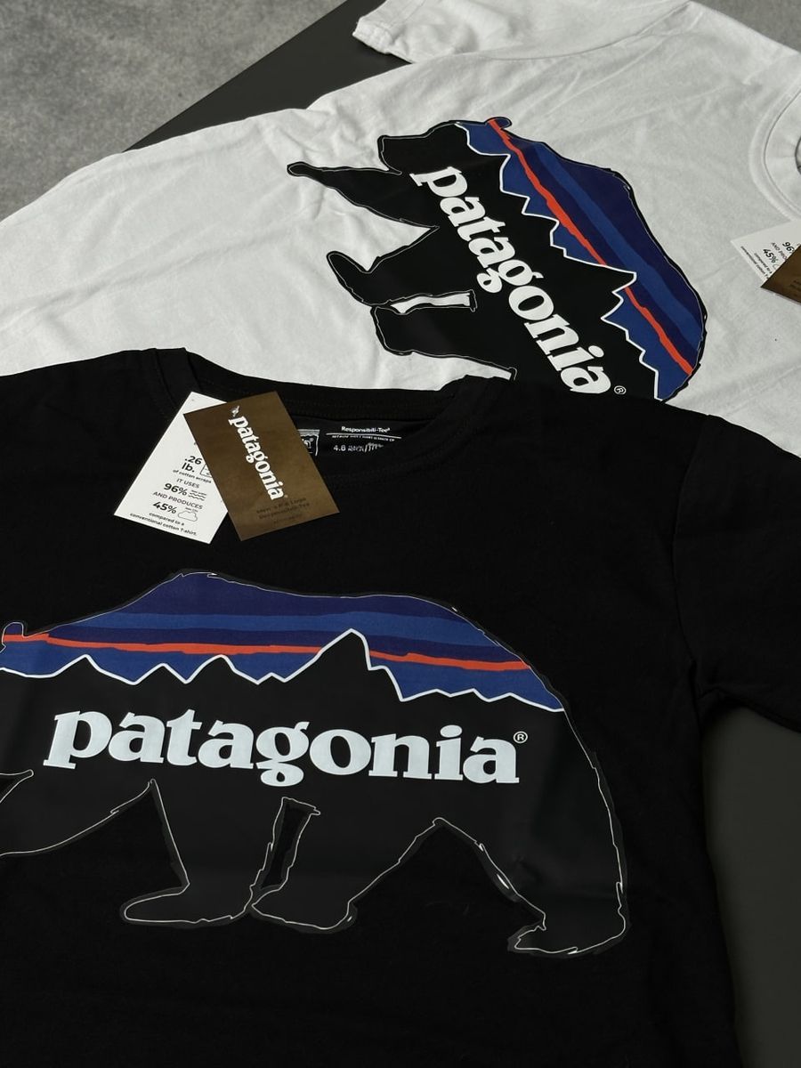 Футболка PATAGONIA Bear pgtxsbb фото