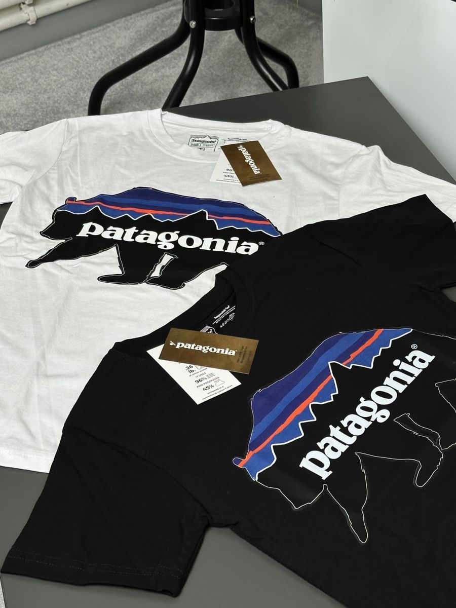 Футболка PATAGONIA Bear pgtxsbb фото