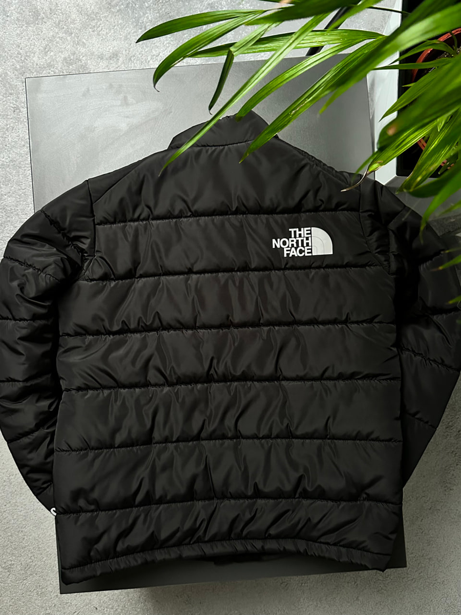 Куртка THE NORTH FACE 700 tnjxsb фото
