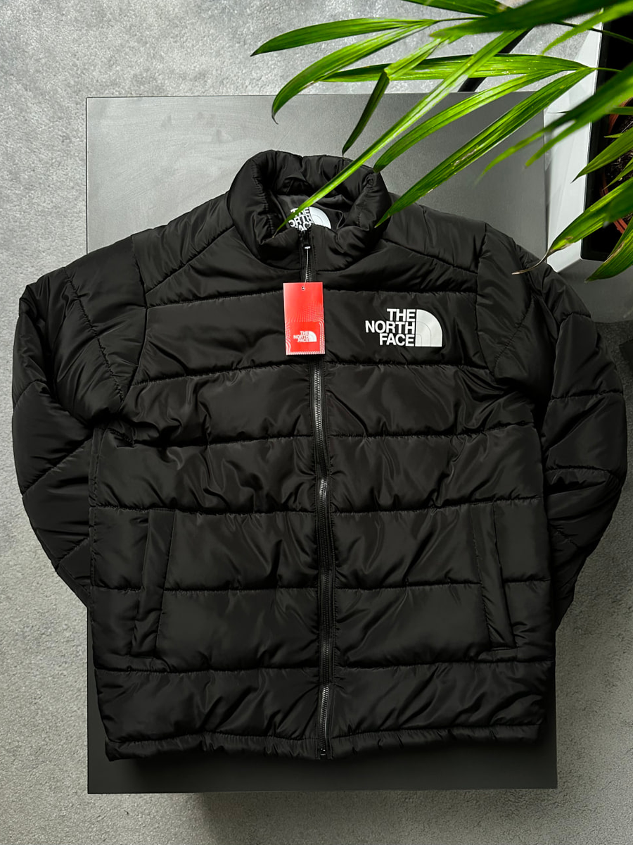 Куртка THE NORTH FACE 700 tnjxsb фото
