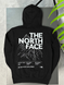 Худі THE NORTH FACE Mountains tnhxsbm фото 1