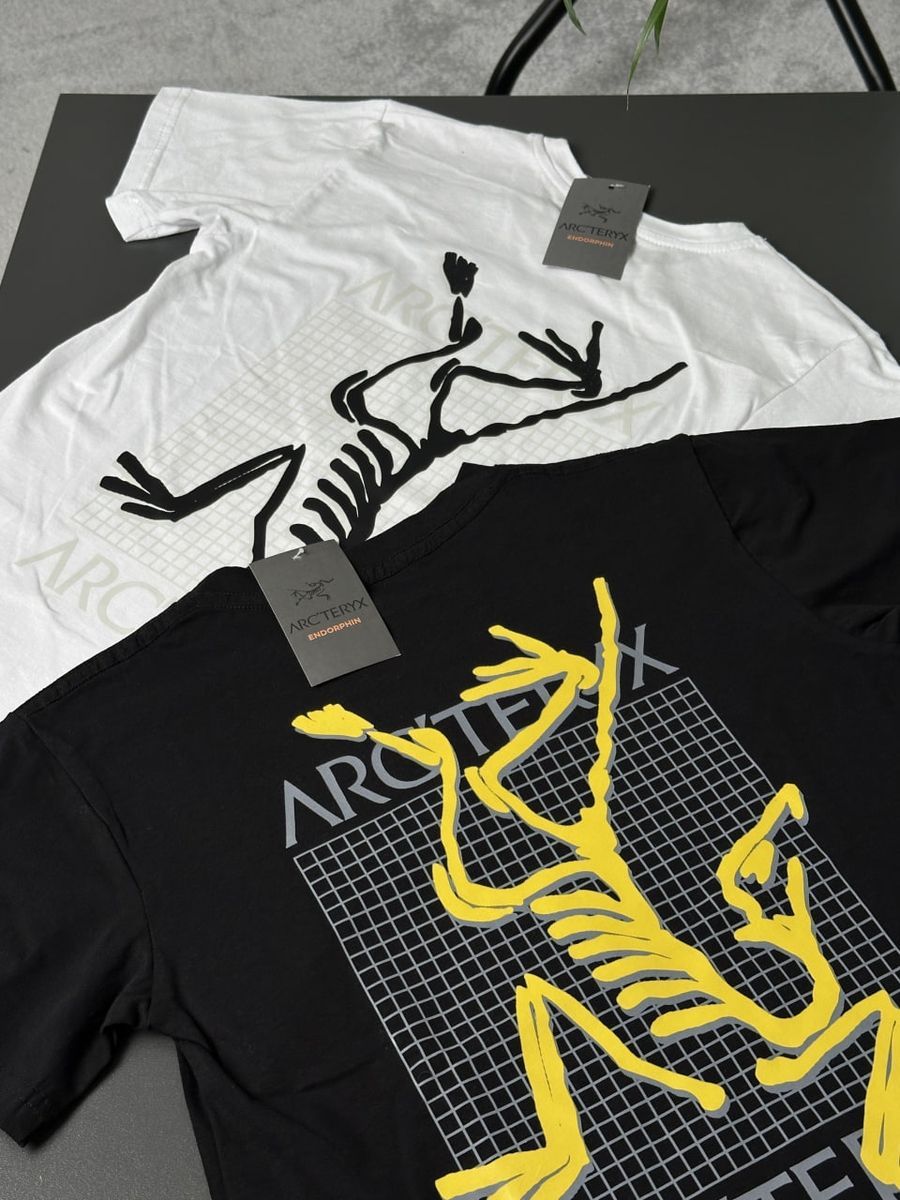 Футболка ARCTERYX MultiBird artxsbmb фото