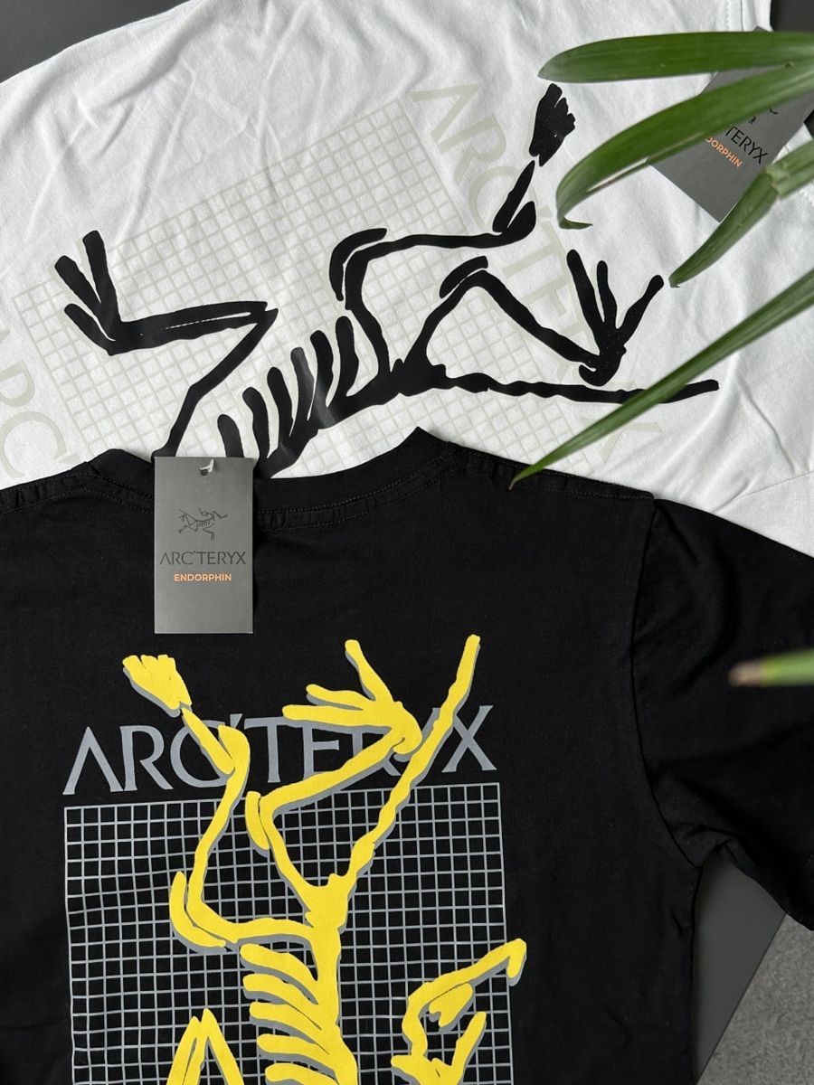 Футболка ARCTERYX MultiBird artxsbmb фото