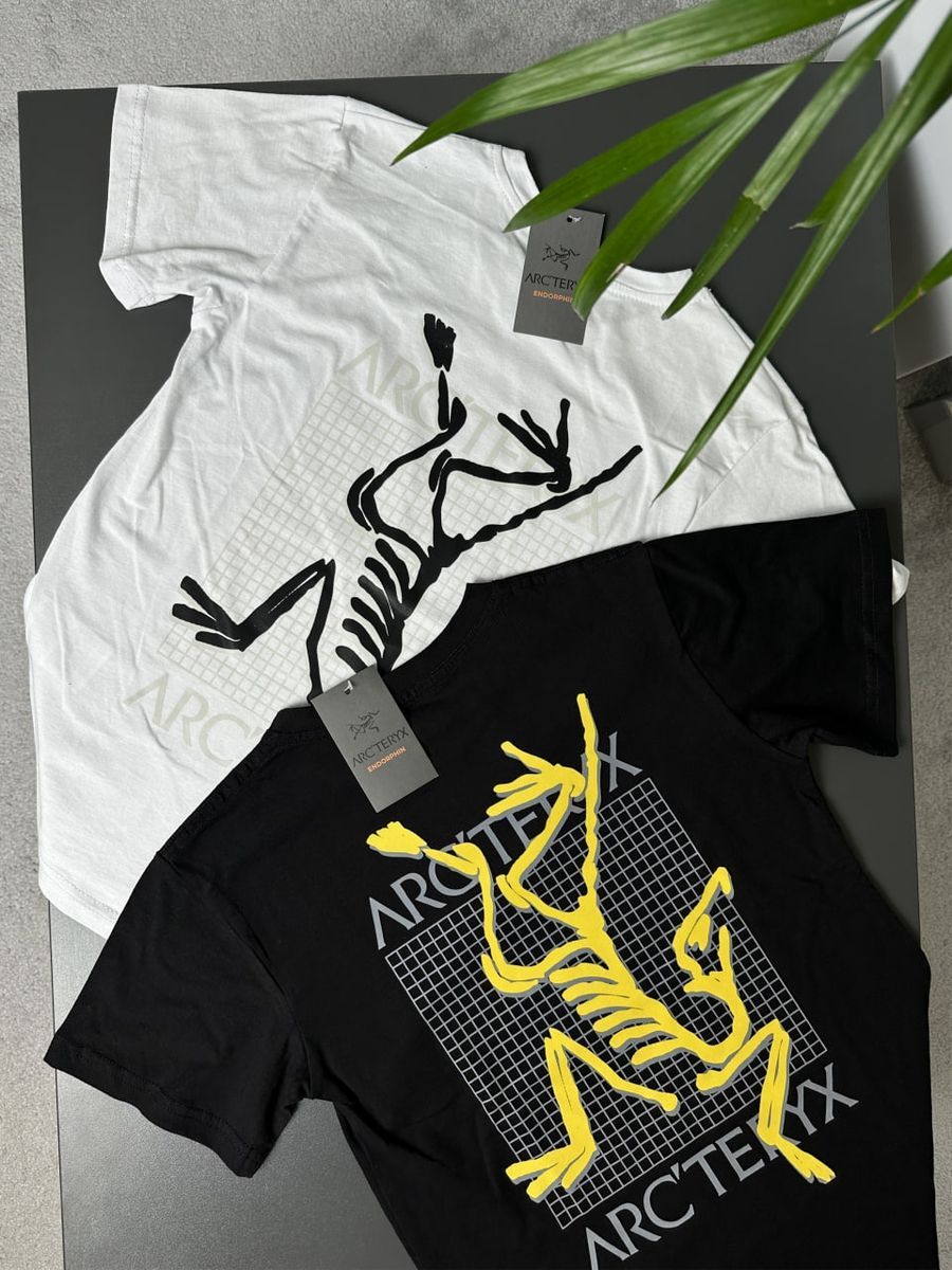 Футболка ARCTERYX MultiBird artxsbmb фото