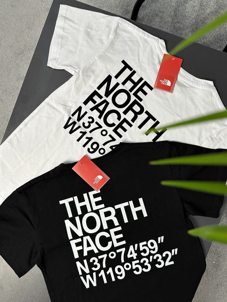 Футболка THE NORTH FACE Coordinates tntxsbcr фото