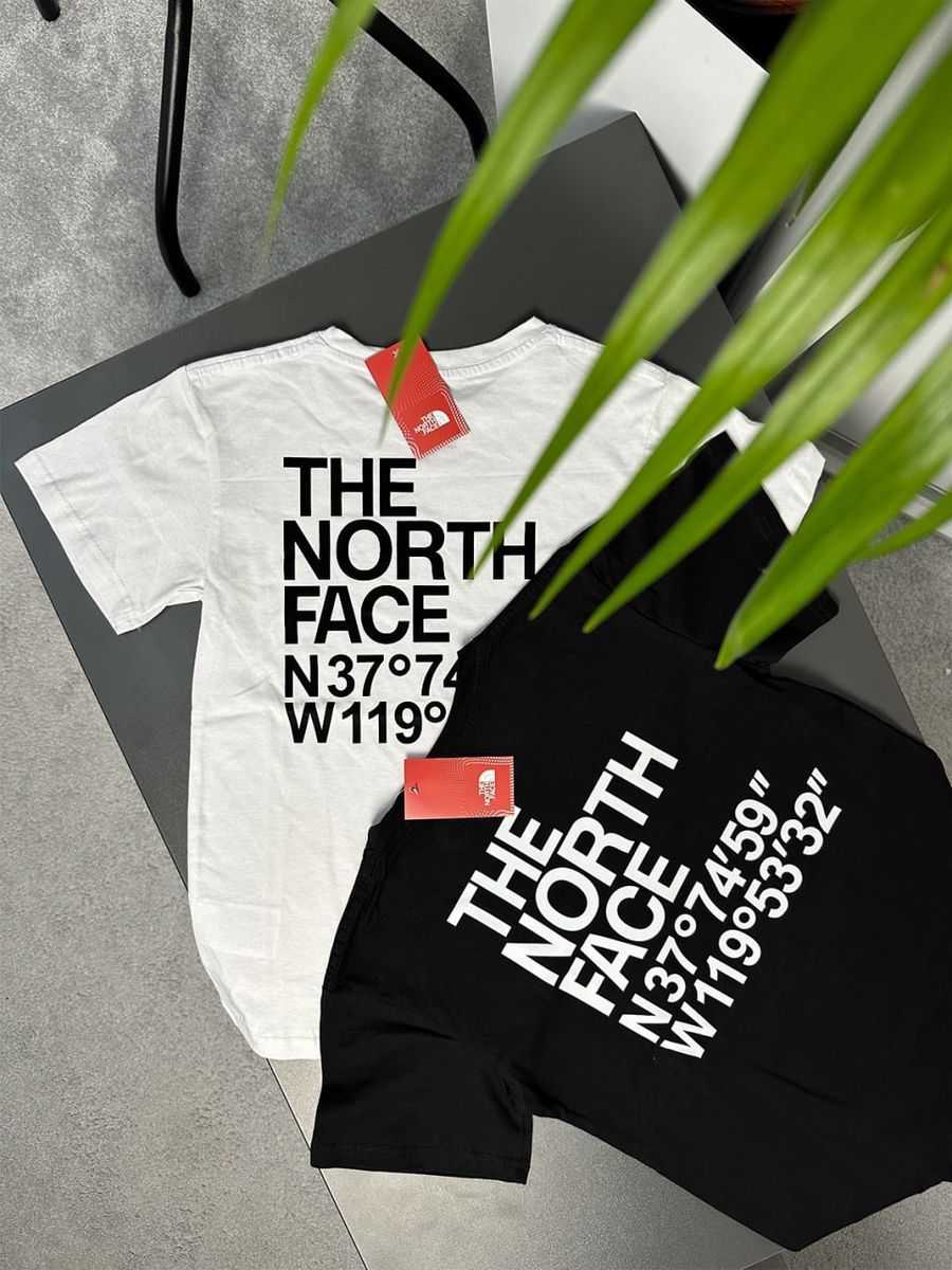 Футболка THE NORTH FACE Coordinates tntxsbcr фото