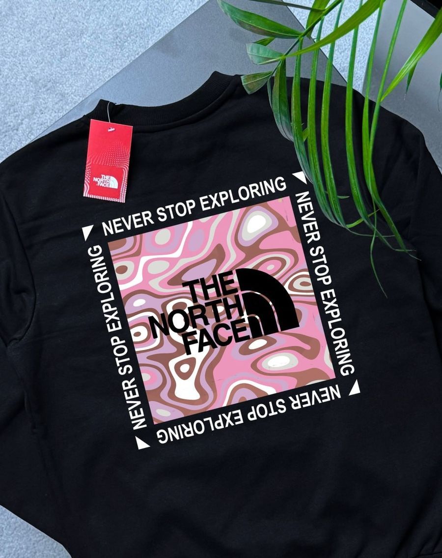 Світшот THE NORTH FACE PinkBox tnsxsbpnkb фото
