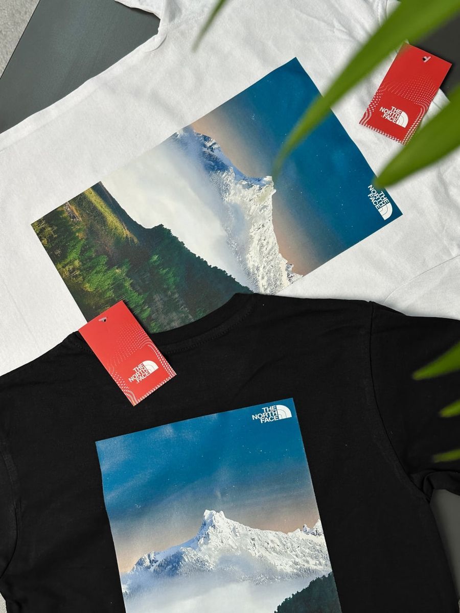 Футболка THE NORTH FACE Forest tntxsbfrst фото
