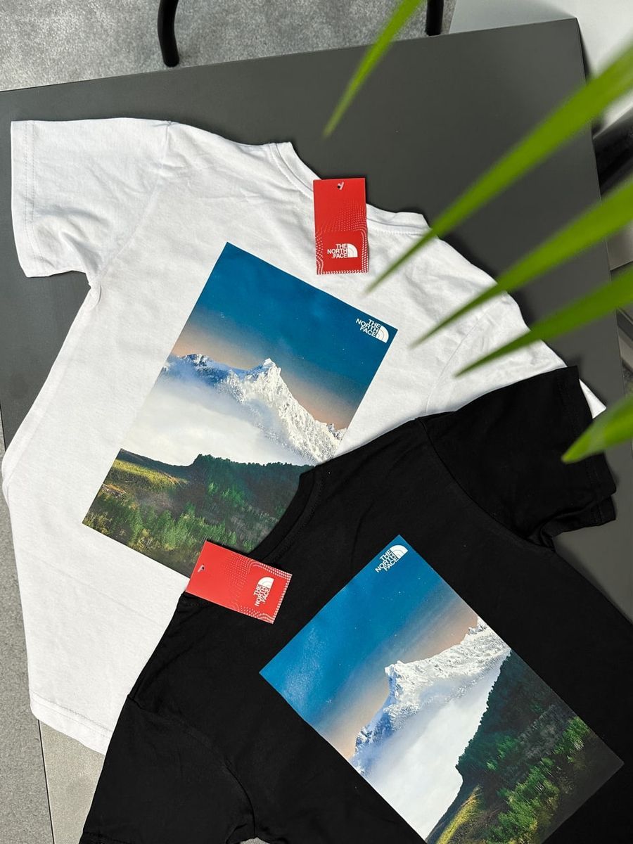 Футболка THE NORTH FACE Forest tntxsbfrst фото