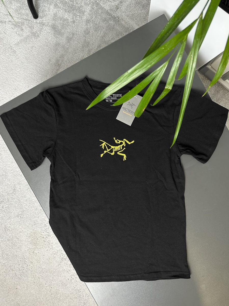 Футболка ARCTERYX x PALACE Hood artxsbaxph фото