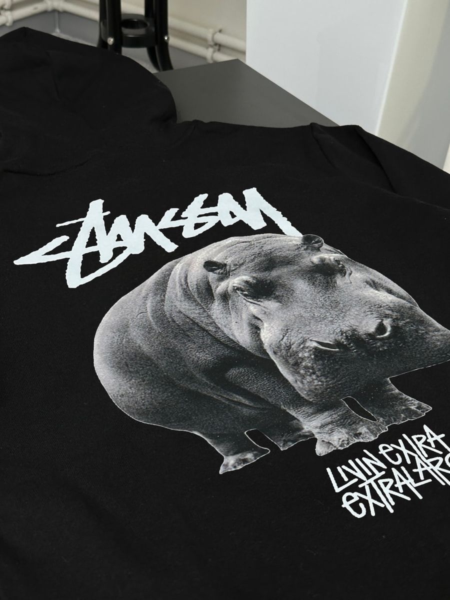 Худі STUSSY with Hippo sthxsbh фото