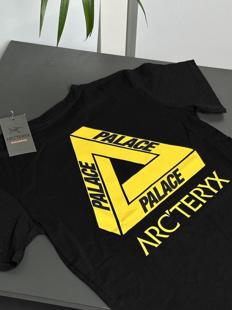 Футболка ARCTERYX x PALACE Hood artxsbaxph фото