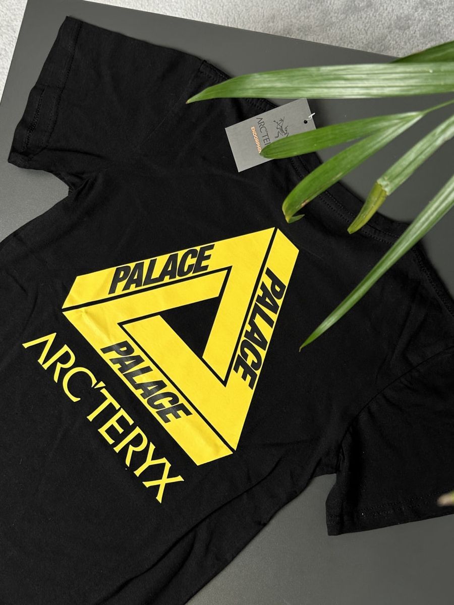 Футболка ARCTERYX x PALACE Hood artxsbaxph фото