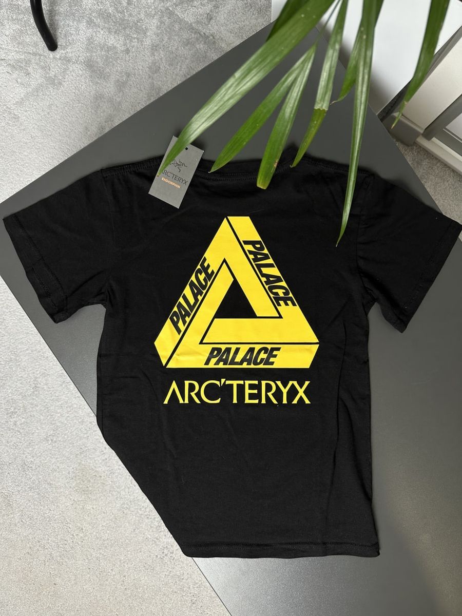 Футболка ARCTERYX x PALACE Hood artxsbaxph фото