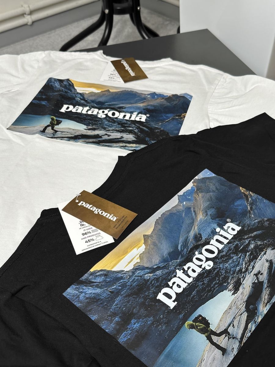 Футболка PATAGONIA Horizon pgtxsbh фото