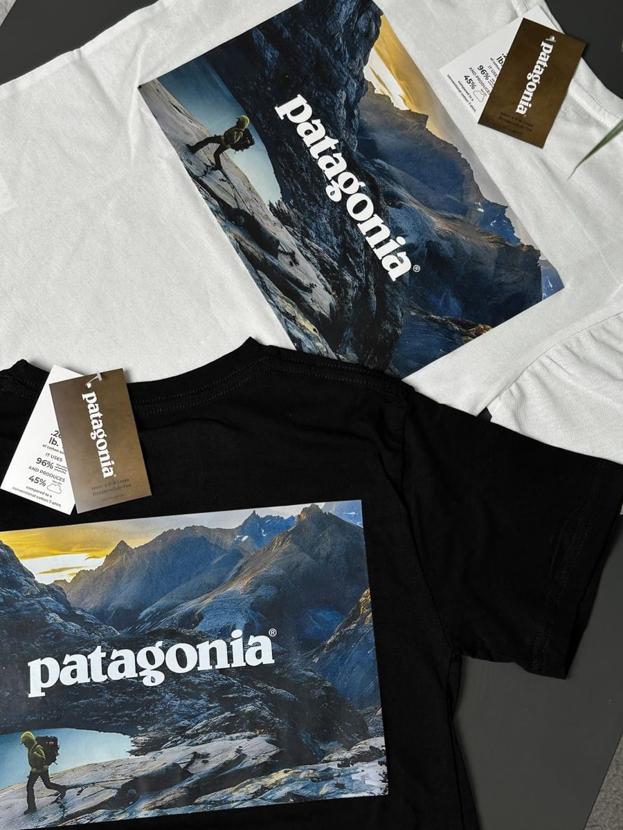 Футболка PATAGONIA Horizon pgtxsbh фото