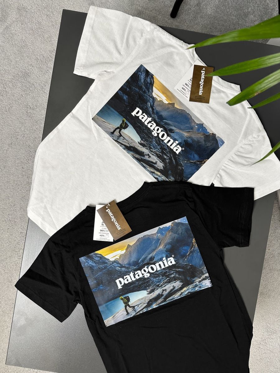 Футболка PATAGONIA Horizon pgtxsbh фото
