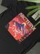 Футболка ARCTERYX Neon Mountains artxsbnmts фото 3