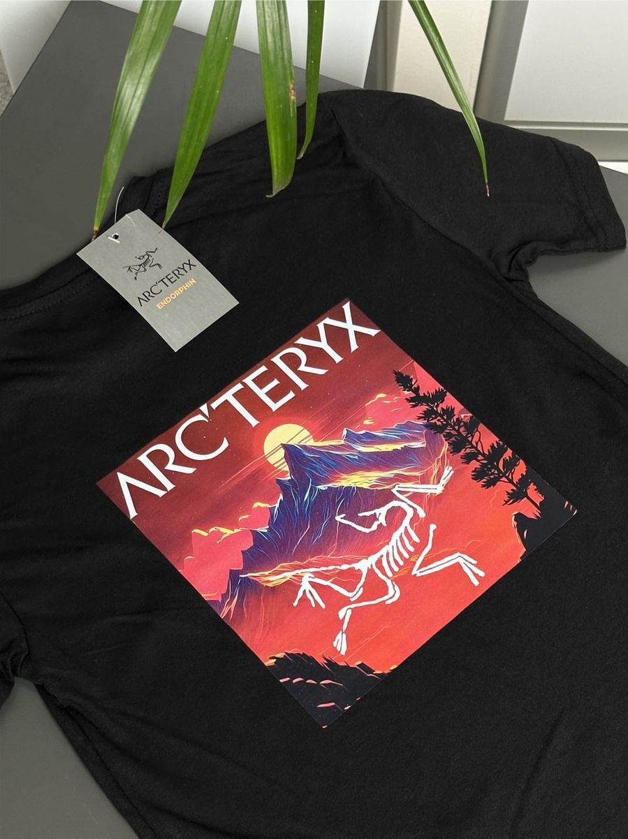 Футболка ARCTERYX Neon Mountains artxsbnmts фото