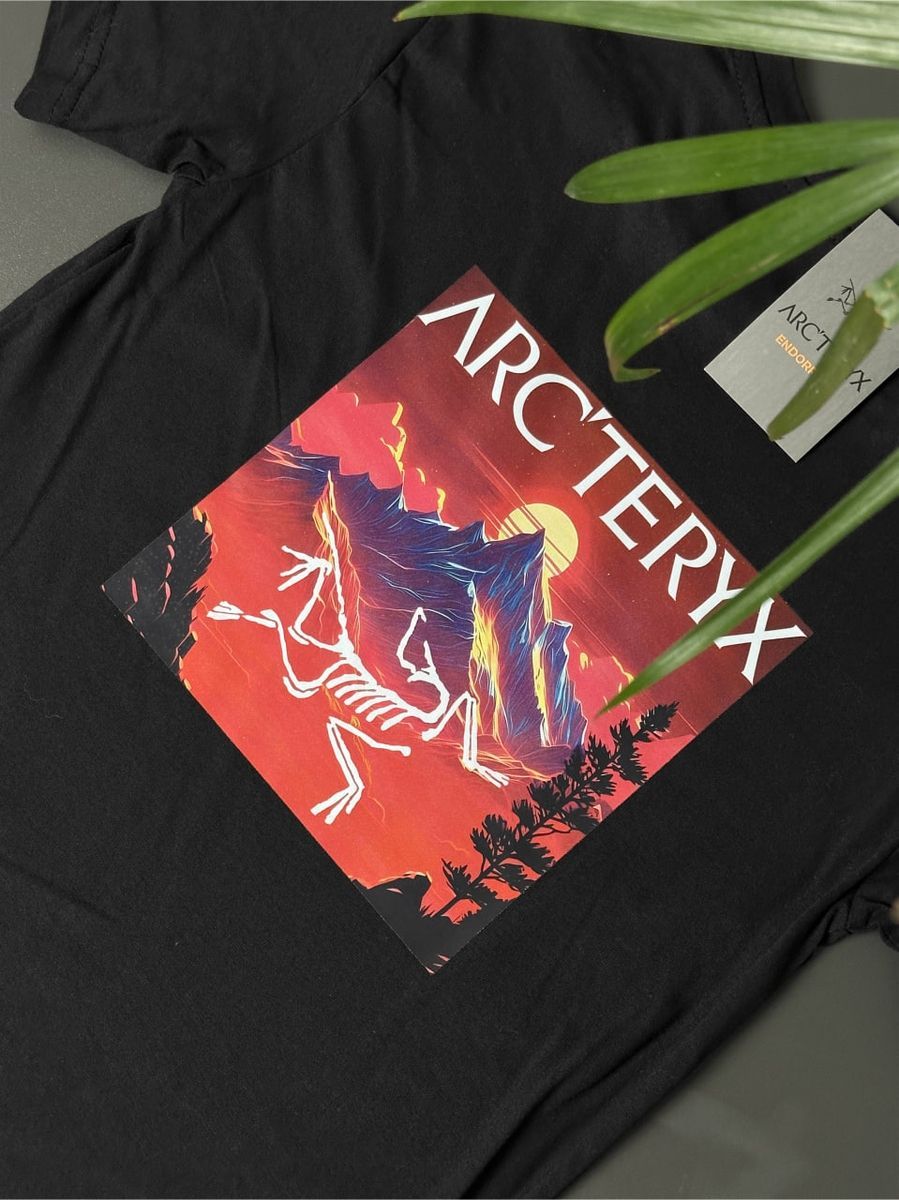Футболка ARCTERYX Neon Mountains artxsbnmts фото