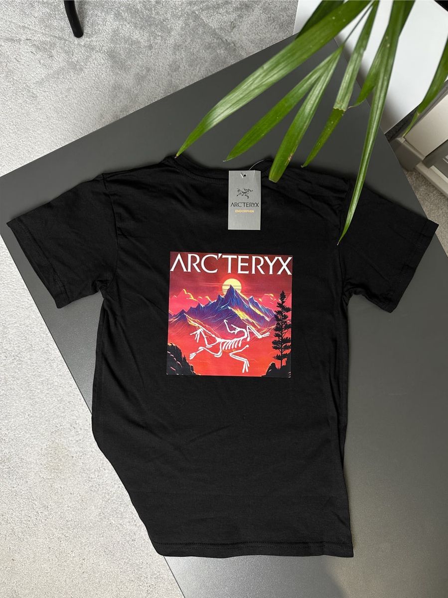 Футболка ARCTERYX Neon Mountains artxsbnmts фото